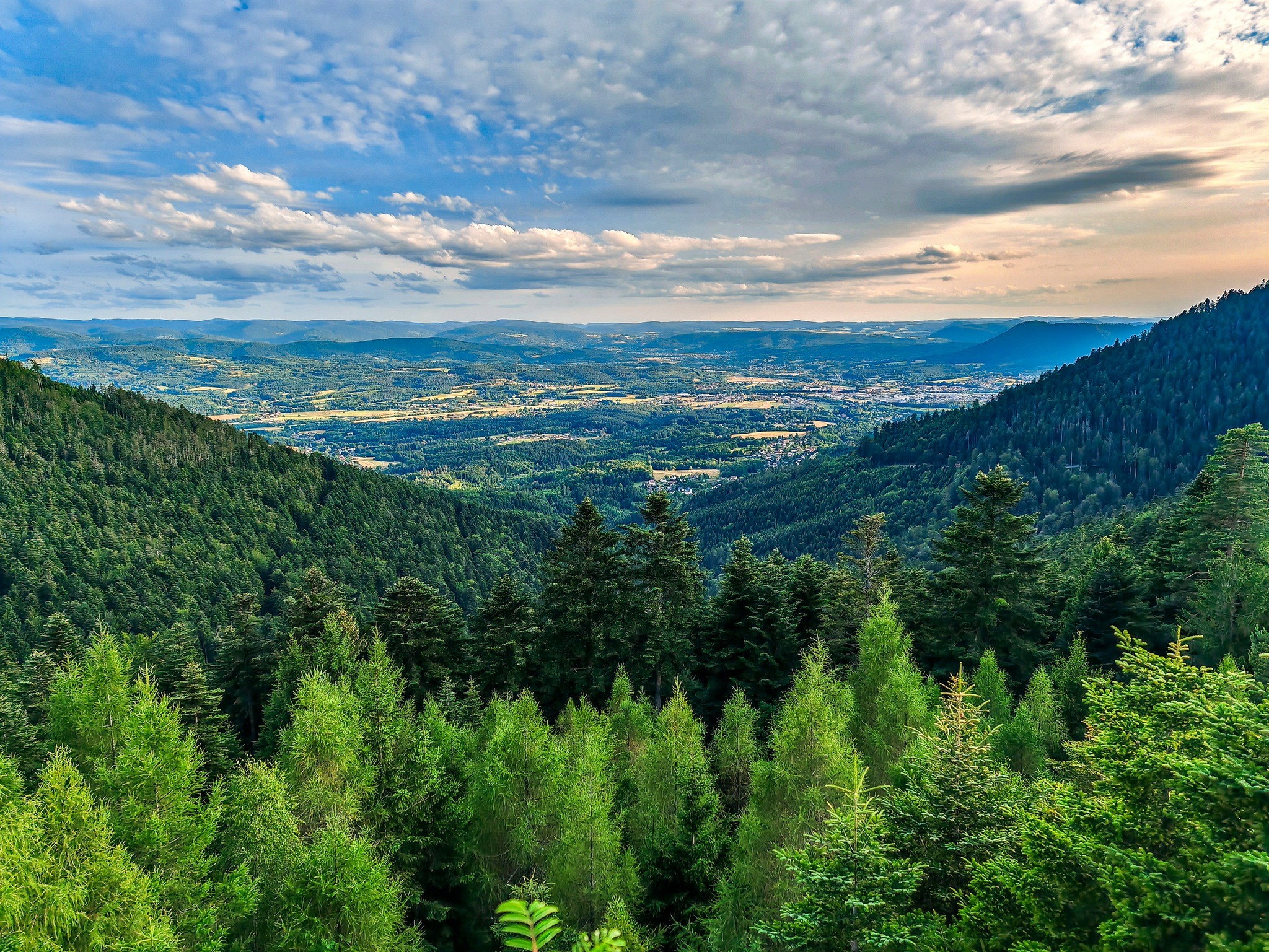 paysage de l'agglomération