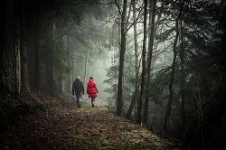 Visite guidée nocturne les nuits des forêts