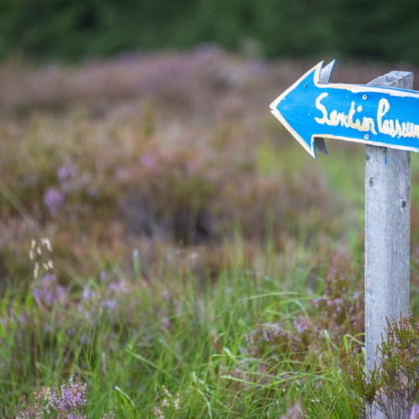 Visite guidée sur le sentier des passeurs