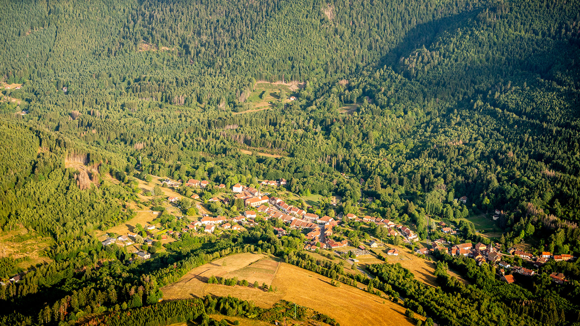 Biodiversité