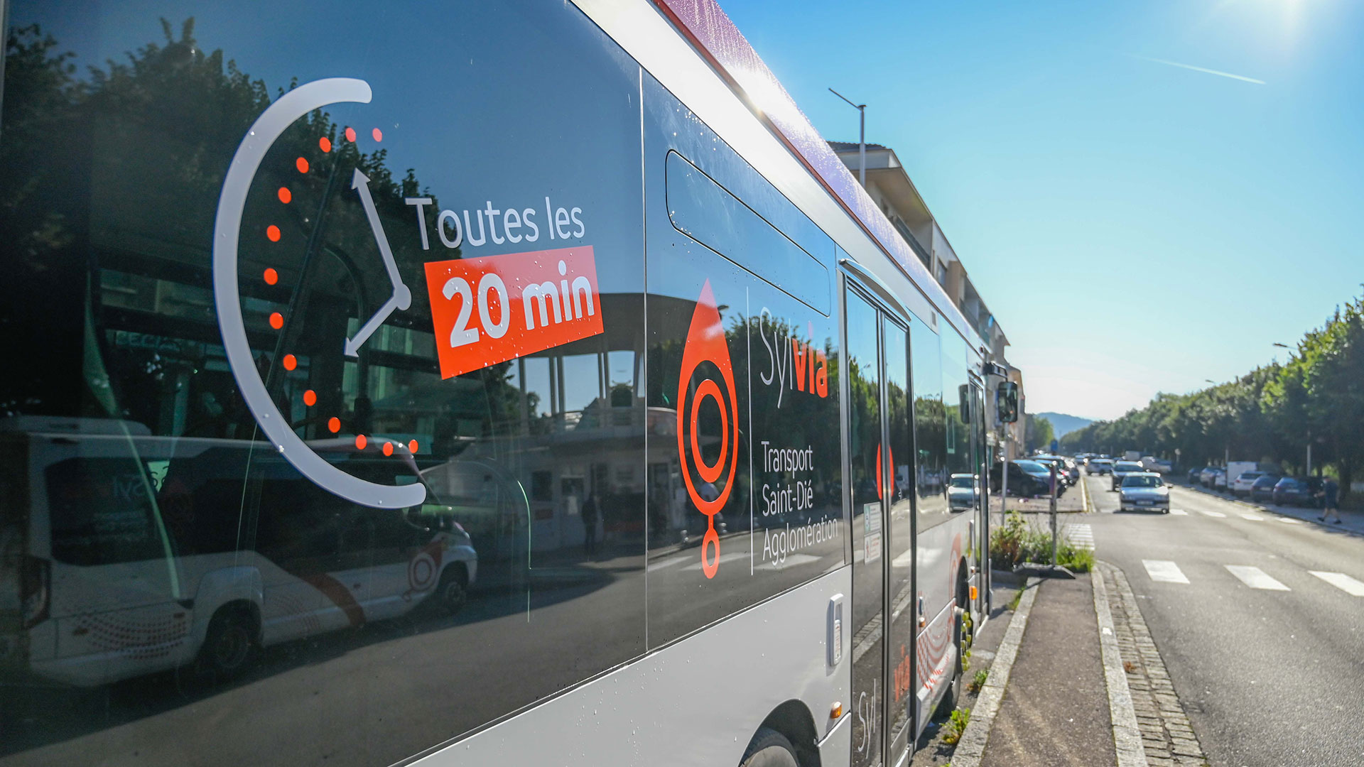 Bus Sylvia