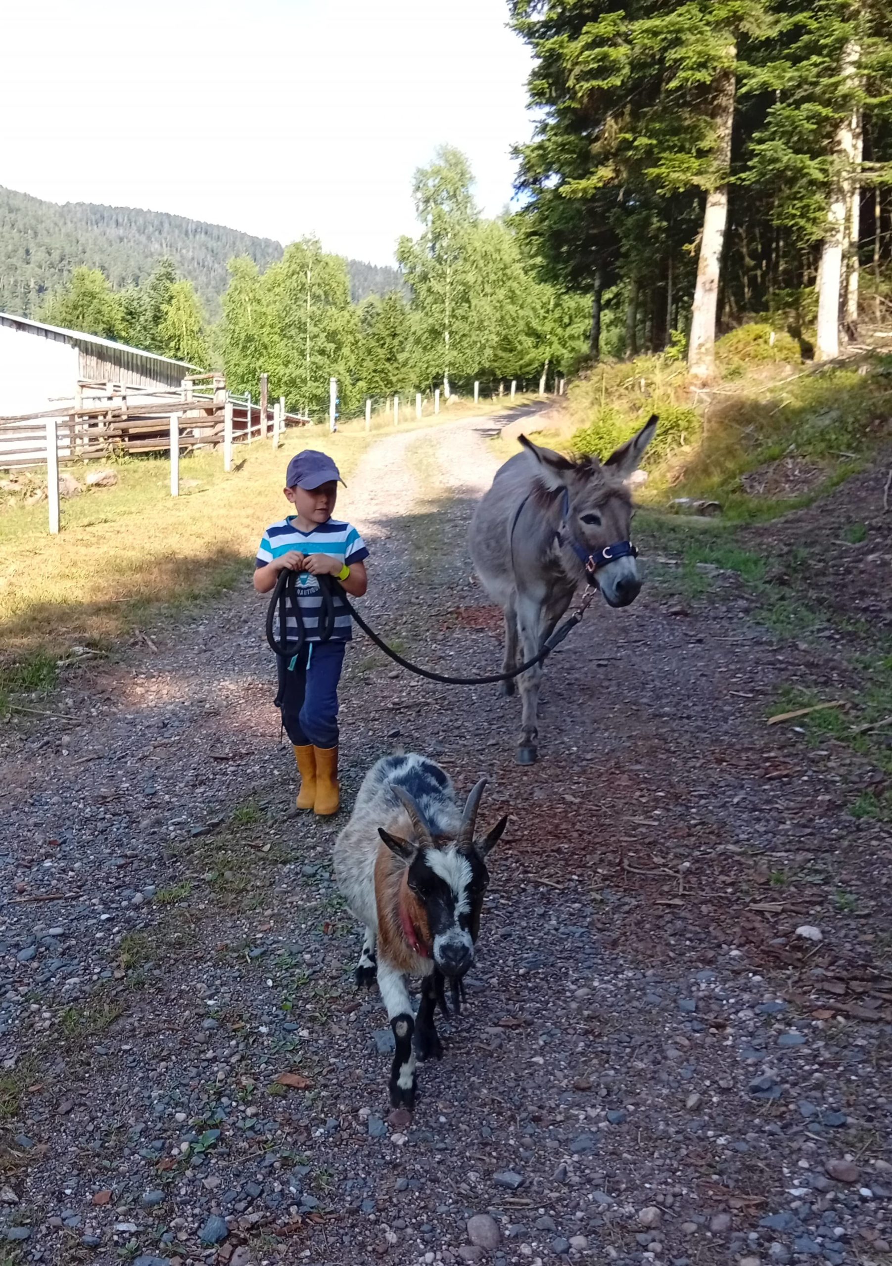 Balade insolite ânes et biquets