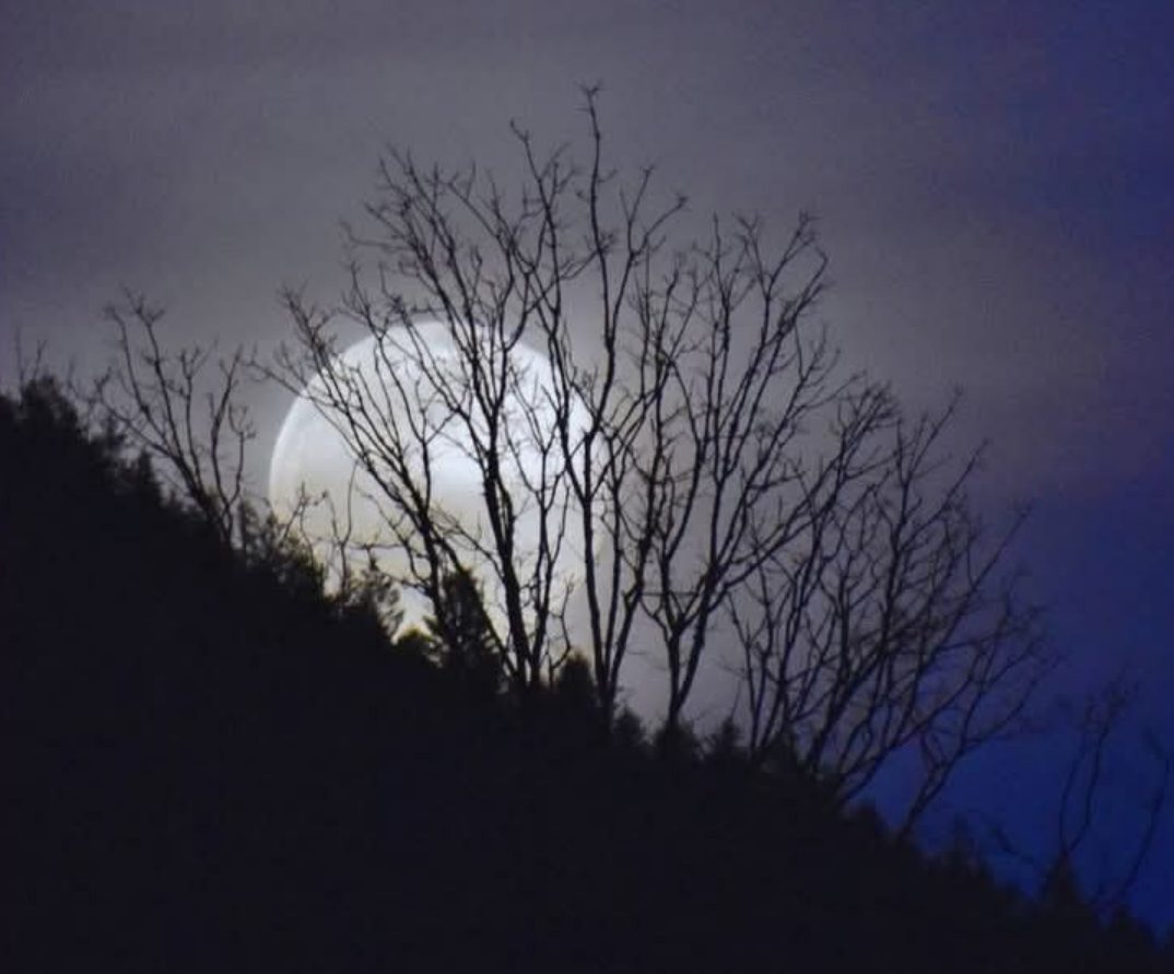 Les esprits de Noël dans les Vosges