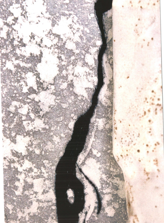 Exposition : Matière de silence