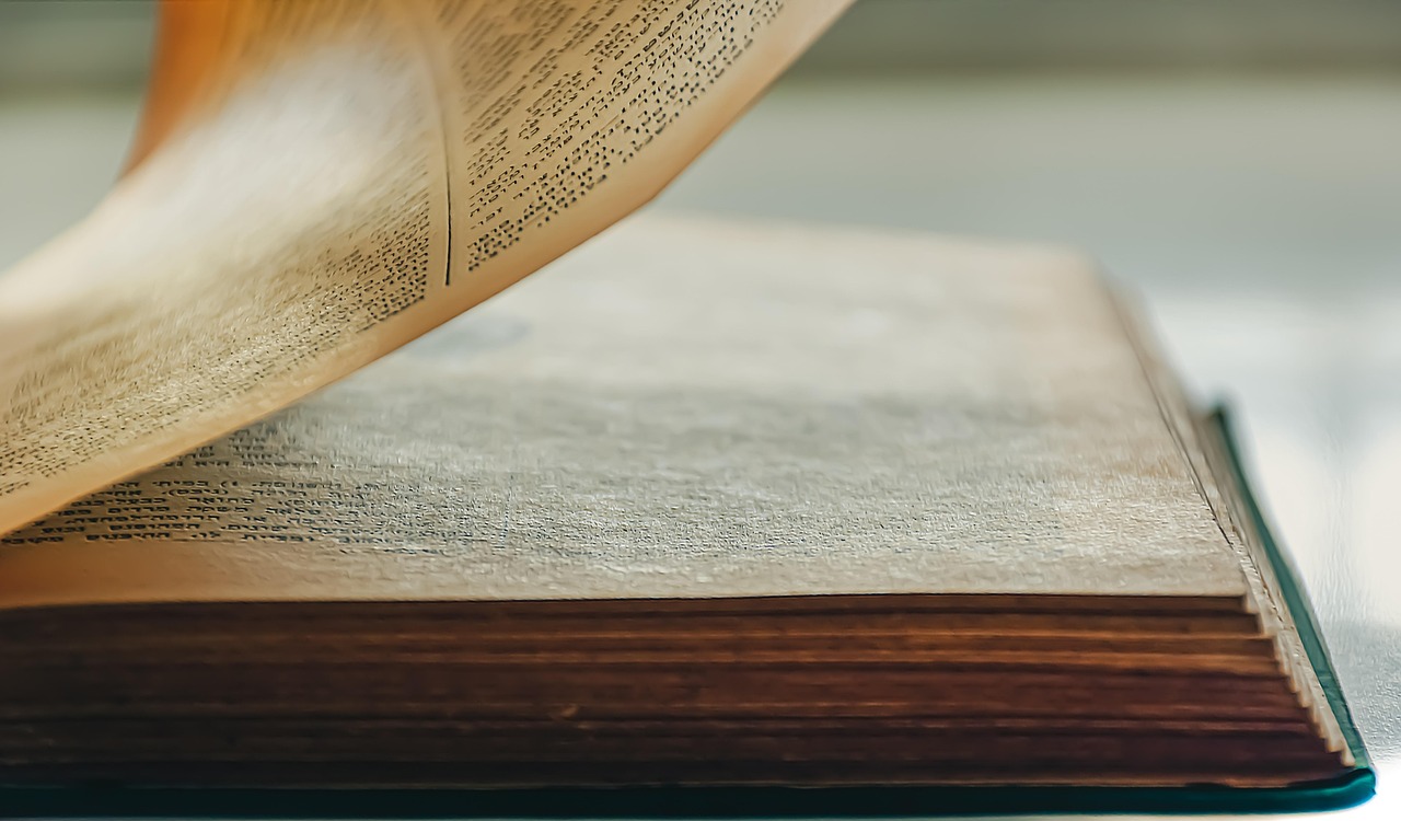 Poésie - Rencontre avec Seyhmus Dagtekin