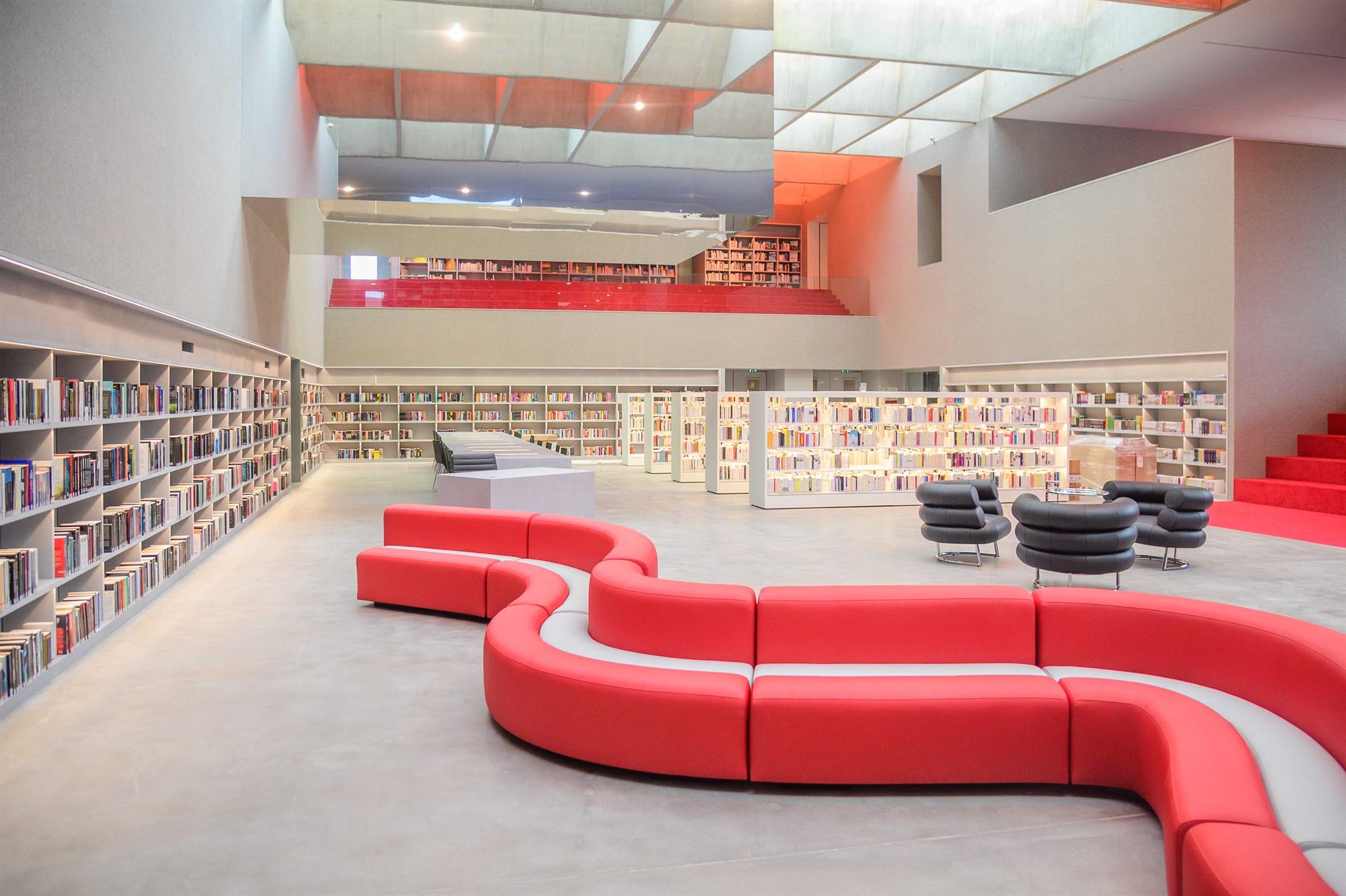 Visite guidée : Nouveaux trésors : acquisitions 2025