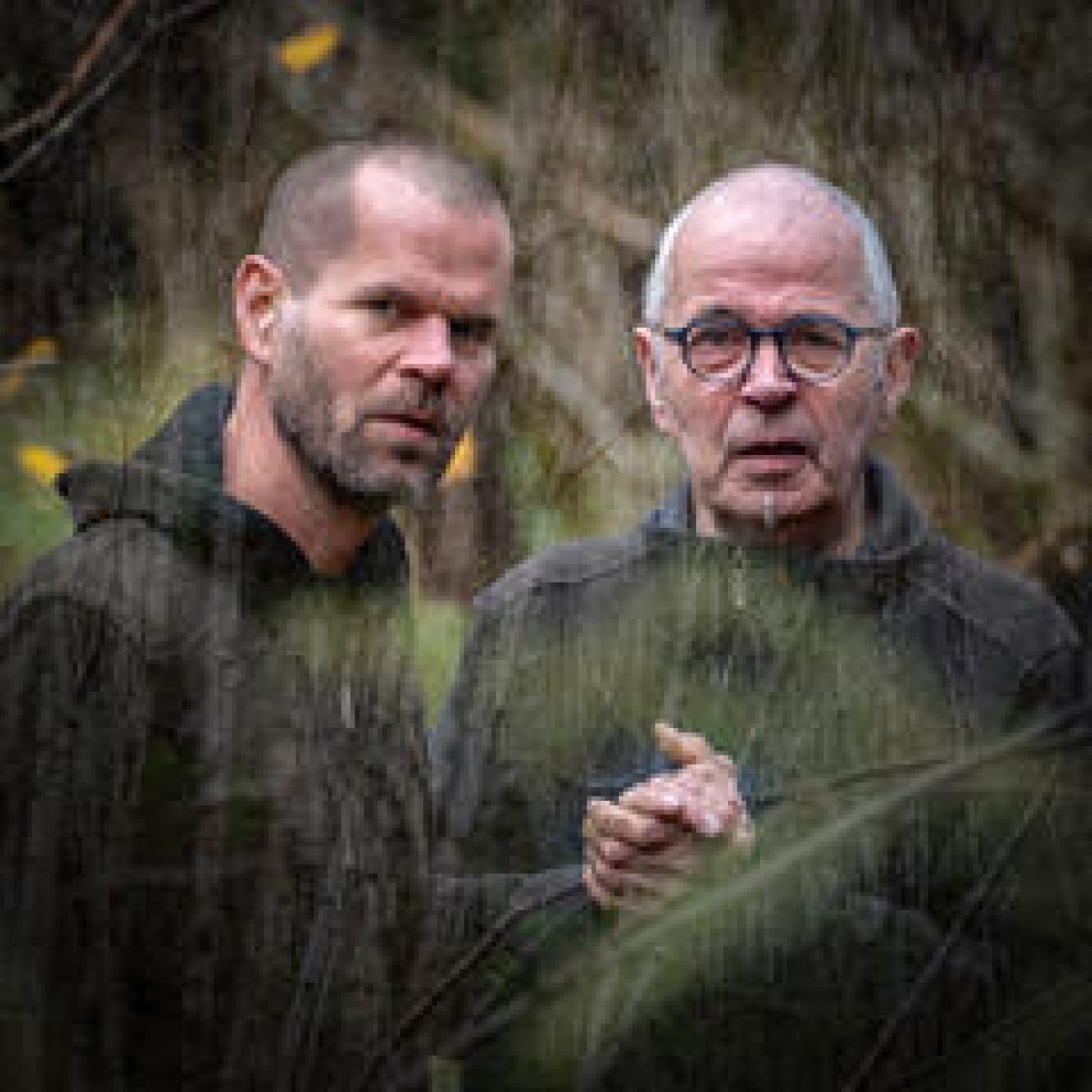 Diner concert- Forest Mecanic