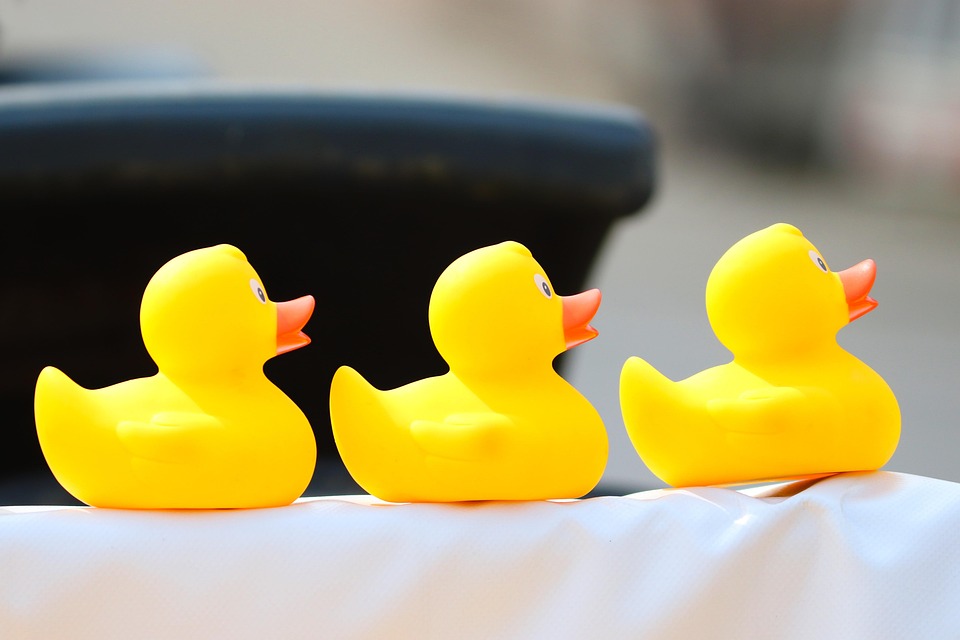 Duck race