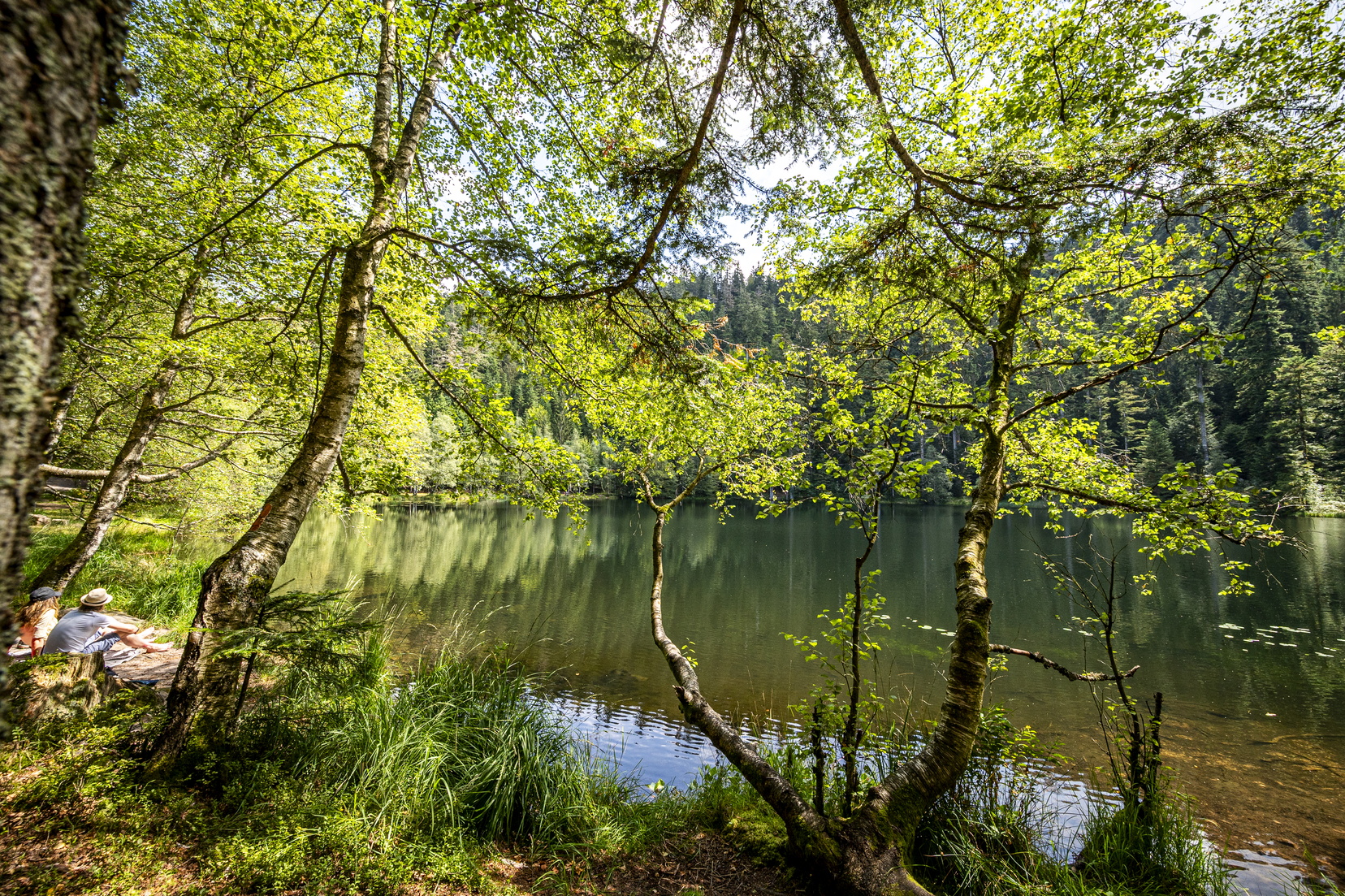 Conférence Berian : Le Lac de la Maix