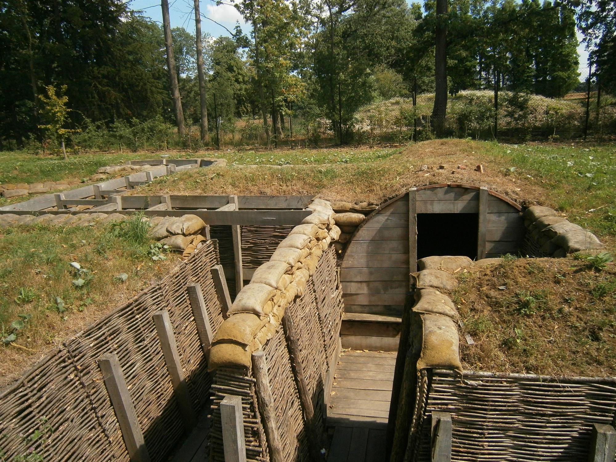 Conférence Guerre en Vosges