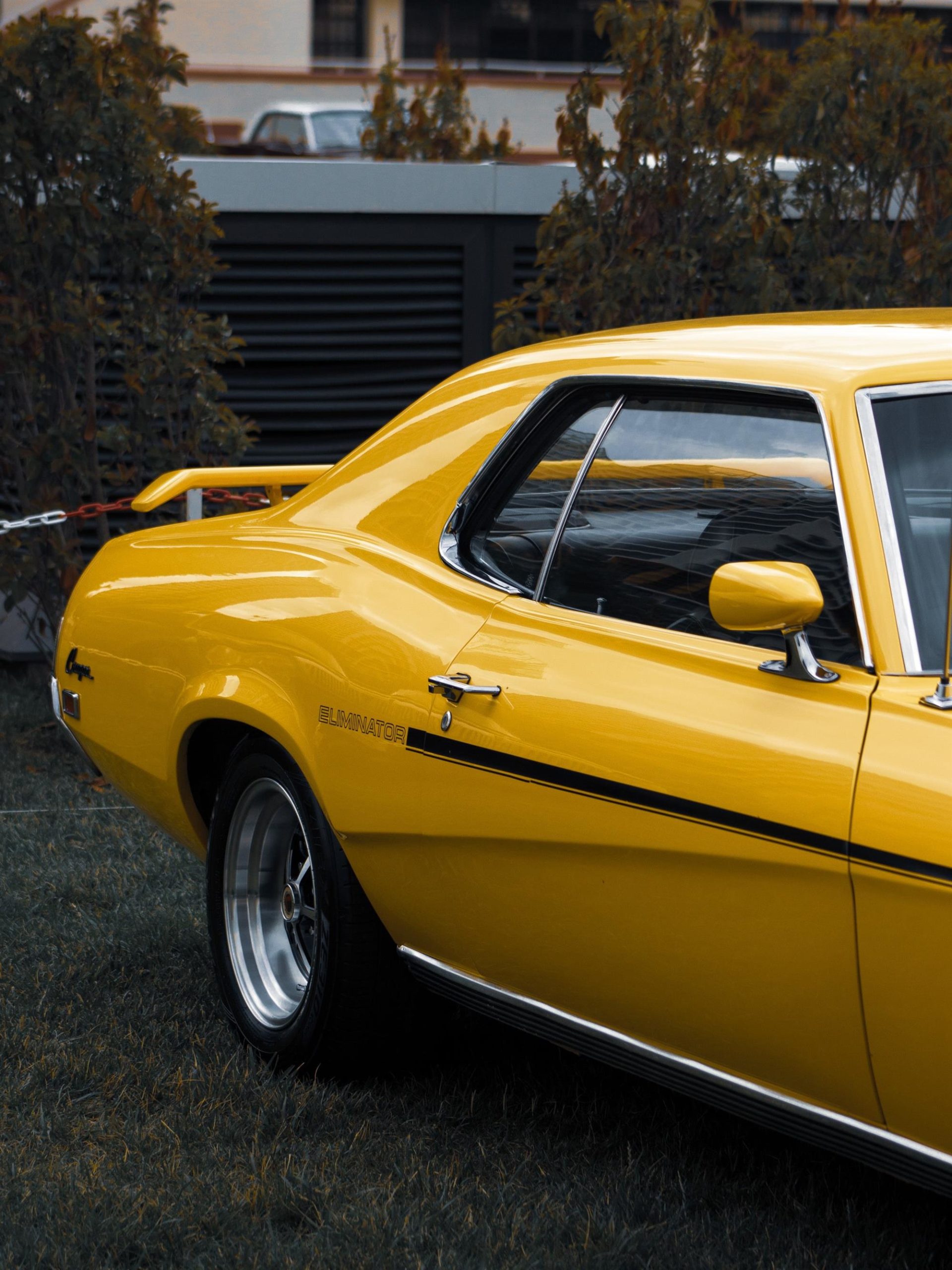 Exposition voitures-Friendly Car Passion