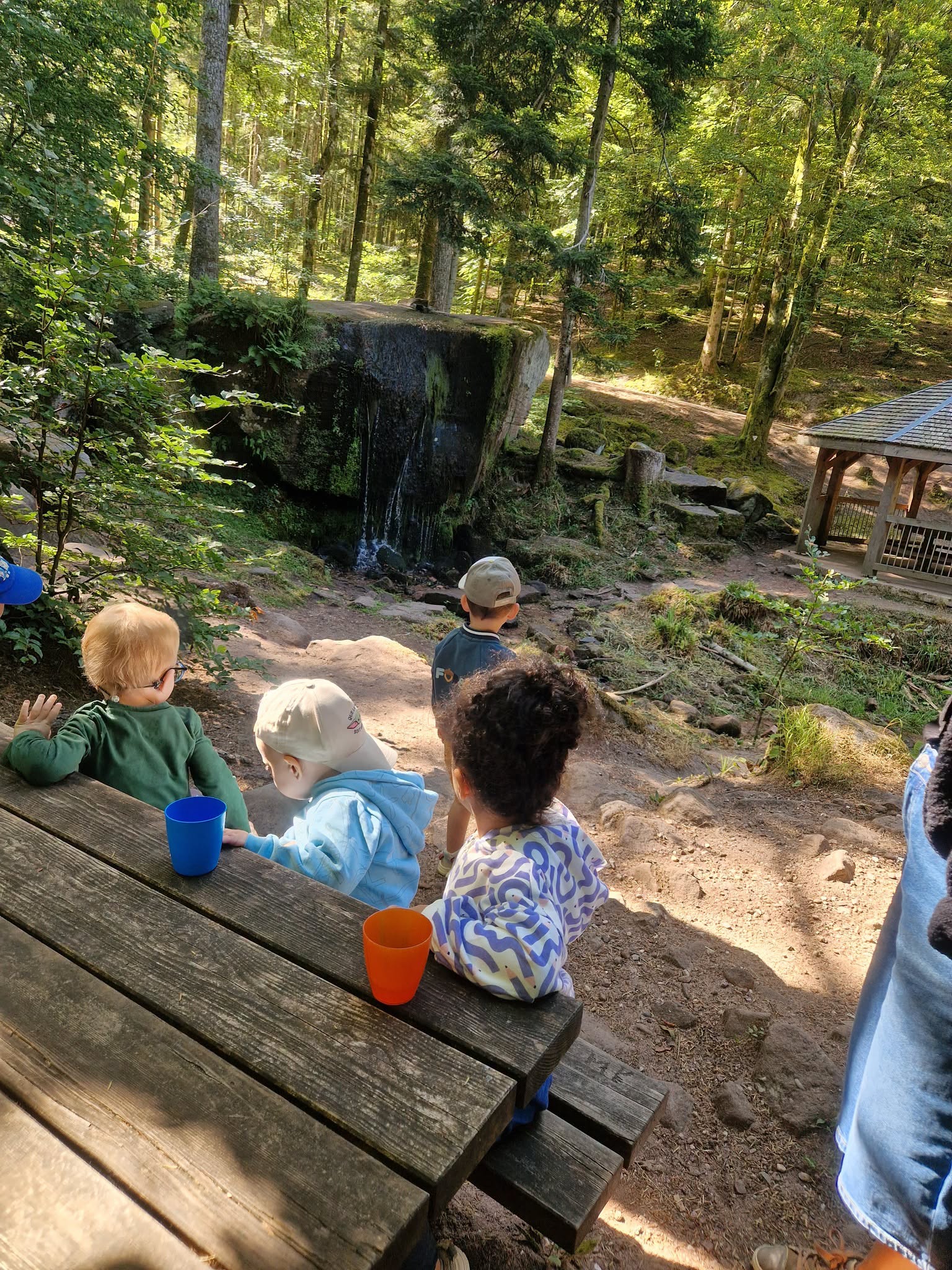 Balade forestière pour les petits