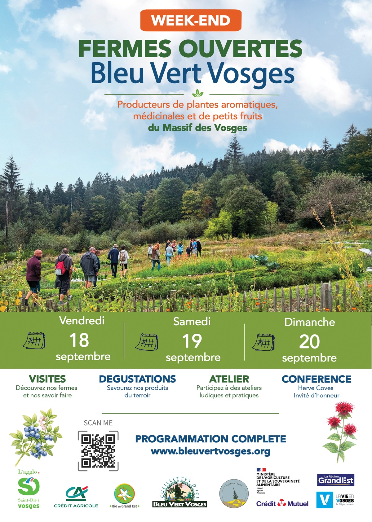 Visite du jardin et observation des médicinales sauvages et comestibles